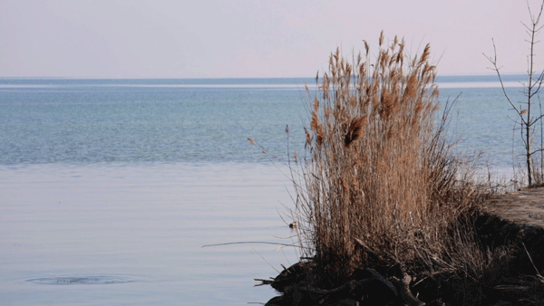 photo animée d'un lac