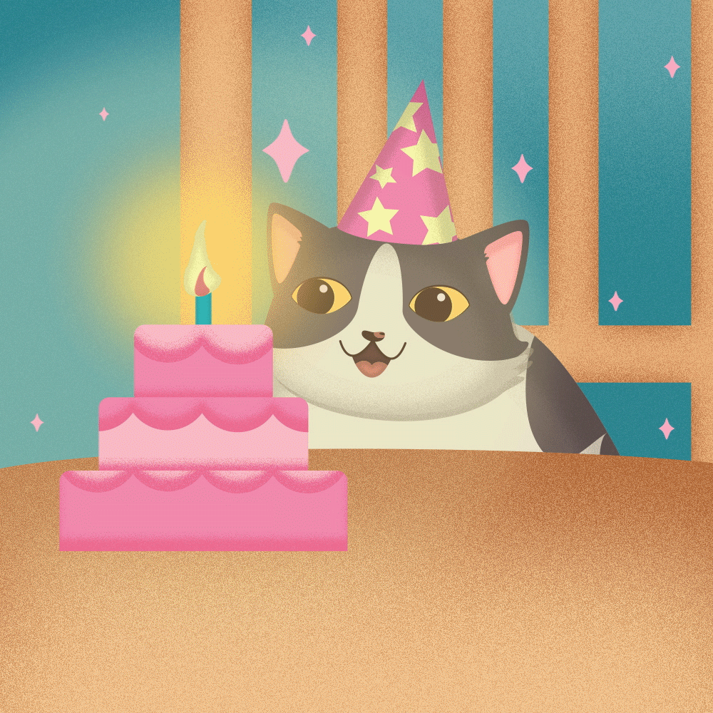 Chat qui fête son anniversaire
