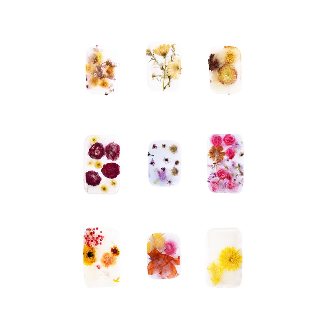 composition de photographies de fleurs dans des blocs de glace