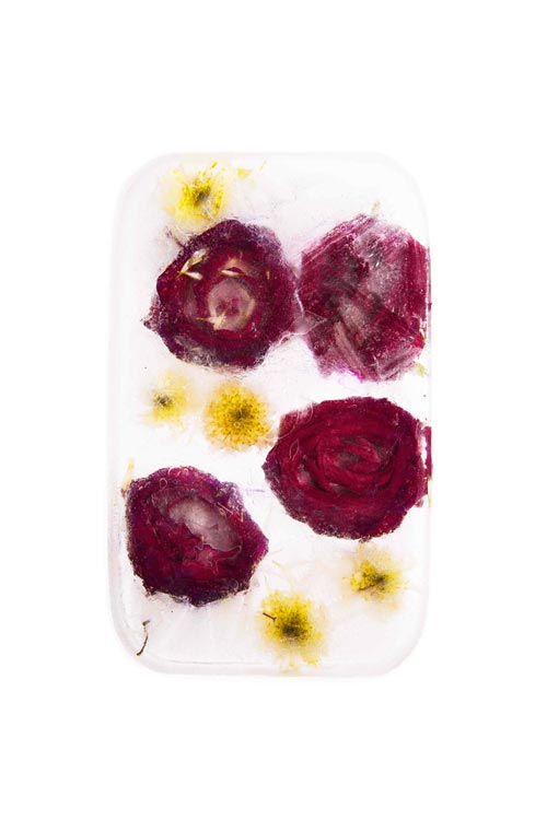 Photographie de fleurs dans un bloc de glace, élément de la composition