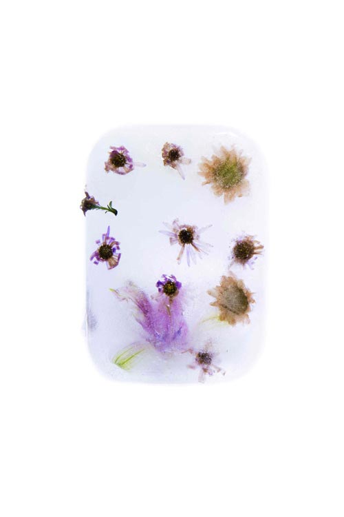 Photographie de fleurs dans un bloc de glace, élément de la composition