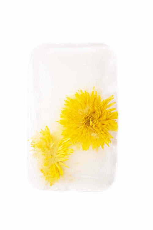 Photographie de fleurs dans un bloc de glace, élément de la composition