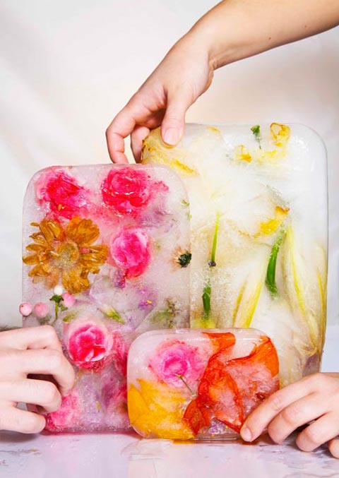 Photographies de mains qui tiennent des blocs de glace dans lesquels sont enfermées des fleurs